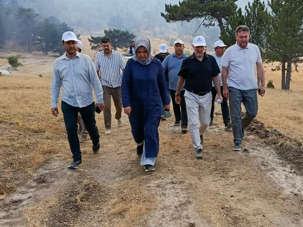 Afyonkarahisar'da Sarıcaova'da Orman Yangını: İl Başkanı Şahin Bölgede İnceleme Yaptı