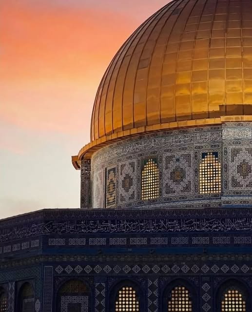 AK Parti Milletvekili Hasan Arslan'dan Filistin'e Desteği